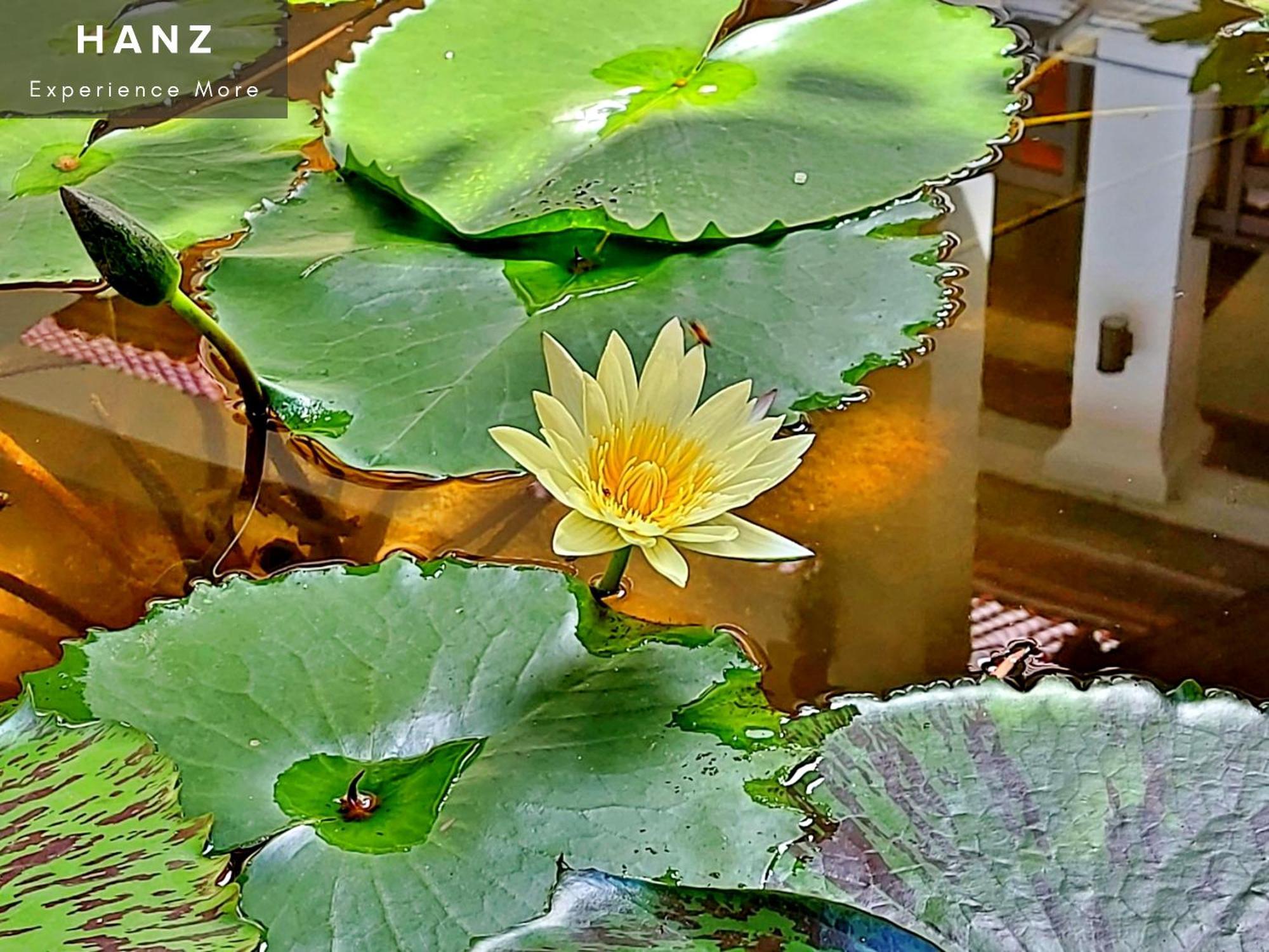 Sunrise Luang Prabang Hotel ภายนอก รูปภาพ