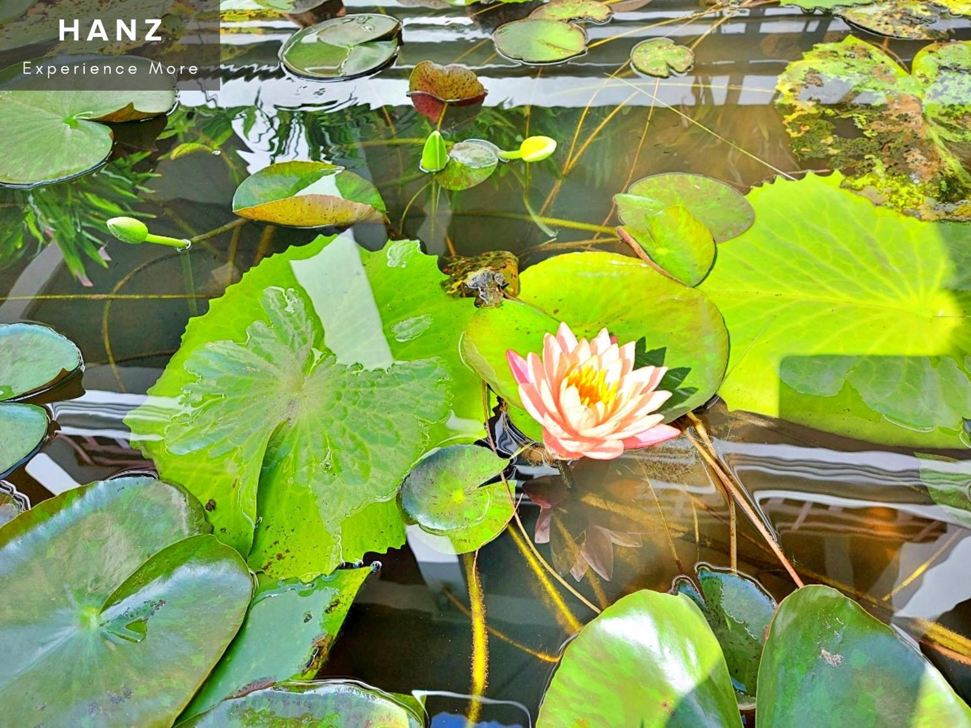 Sunrise Luang Prabang Hotel ภายนอก รูปภาพ
